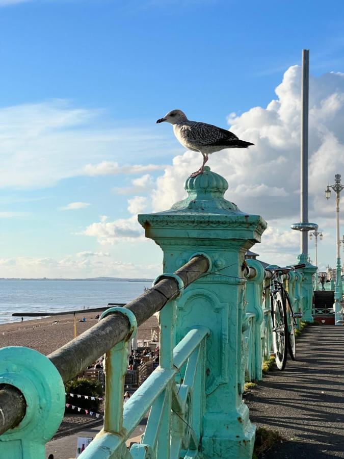 Charming Cottage & Garden - Central Brighton! Экстерьер фото